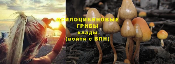 спиды Балахна